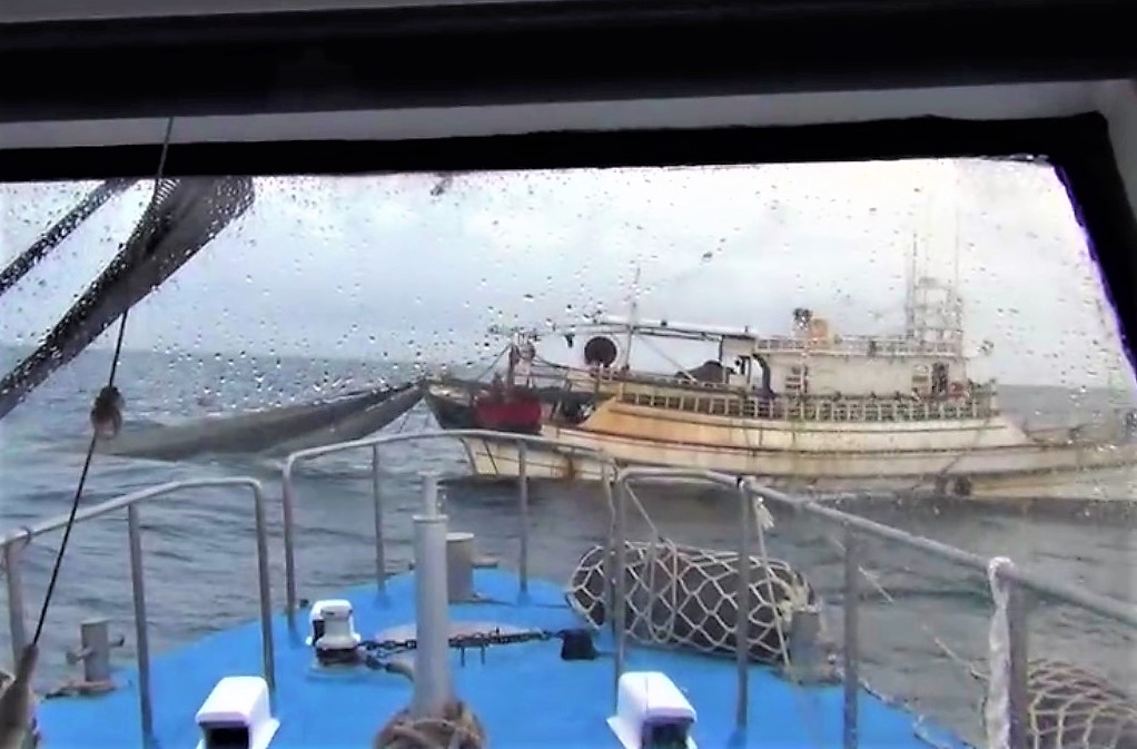 ▲澎湖海巡隊凌晨拂曉出擊在目斗嶼西方海域，查獲「金*興」、「金*滿」兩艘漁船違規在12浬內拖網，船上有數百公斤的漁獲。（圖／澎湖海巡隊提供）