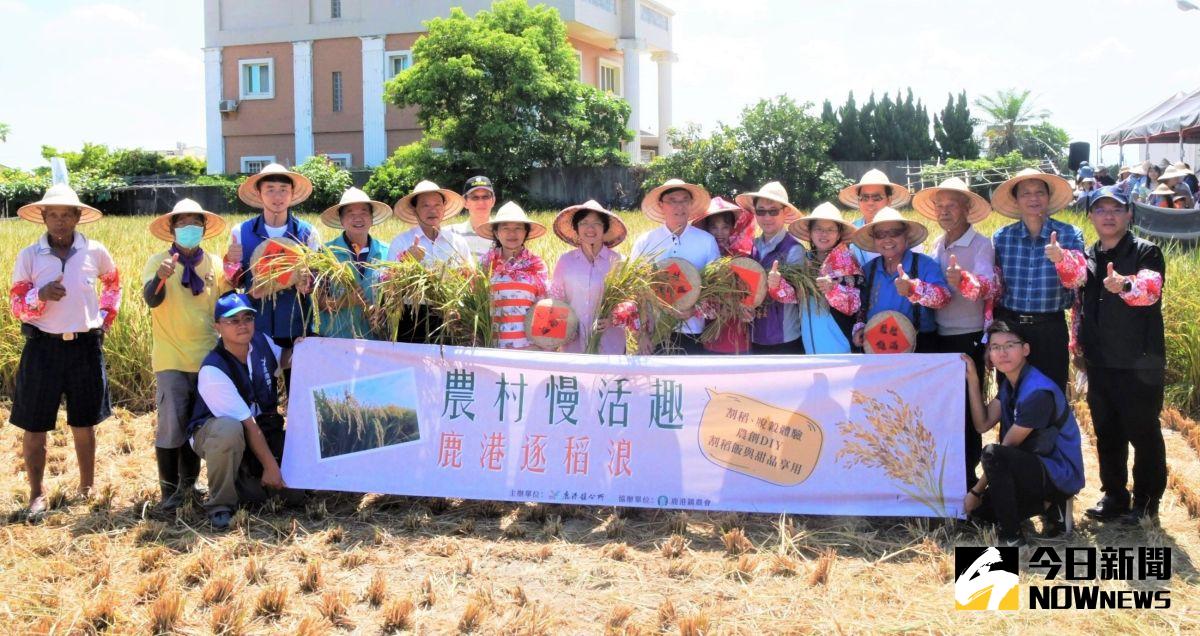 ▲農村慢活趣-鹿港逐稻浪活動在鹿東路善緣有機農場旁的稻田展開。（圖／記者陳雅芳攝，2020.07.12）