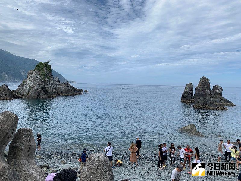 ▲美麗神秘的粉鳥林,近來吸引不少遊客探訪。(圖/記者康子仁攝)