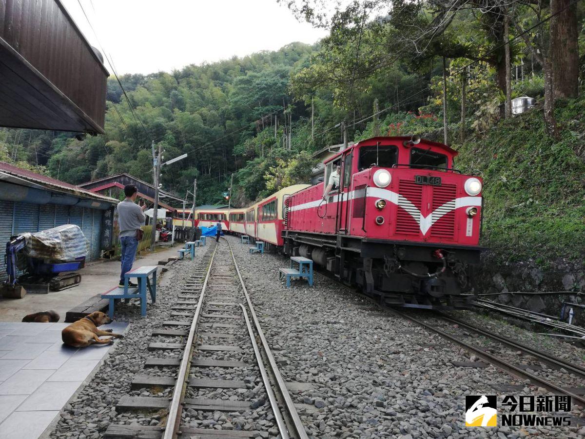 ▲林鐵及文資處歡迎民眾使用振興三倍券搭乘林鐵，上山來一趟輕鬆遊程。（圖/記者邱嘉琪攝）