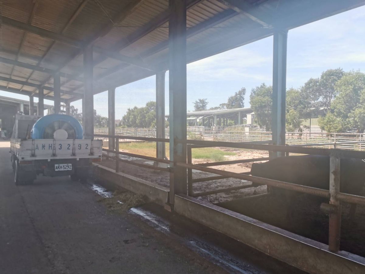 ▲金門牛結節疫情降溫，爆發地「金門畜試所種牛場」已連三天無新增案例。(圖/金門建設處提供)