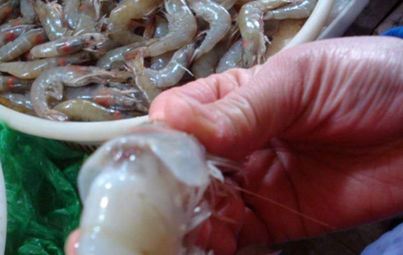 ▲中國大陸本月初起，頻頻從南美進口的凍蝦包裝上檢測到新冠病毒。（圖／翻攝自中新網）