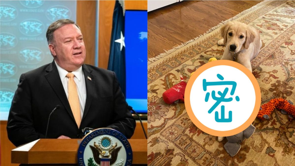 ▲美國國務卿蓬佩歐在推特曬出一張自家愛犬和玩具的合影。（合成圖／取自蓬佩歐推特 @mikepompeo ）