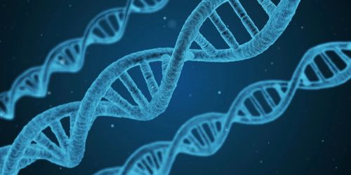 感情坎坷與基因有關聯？挪威最新研究曝　抽菸也有影響
