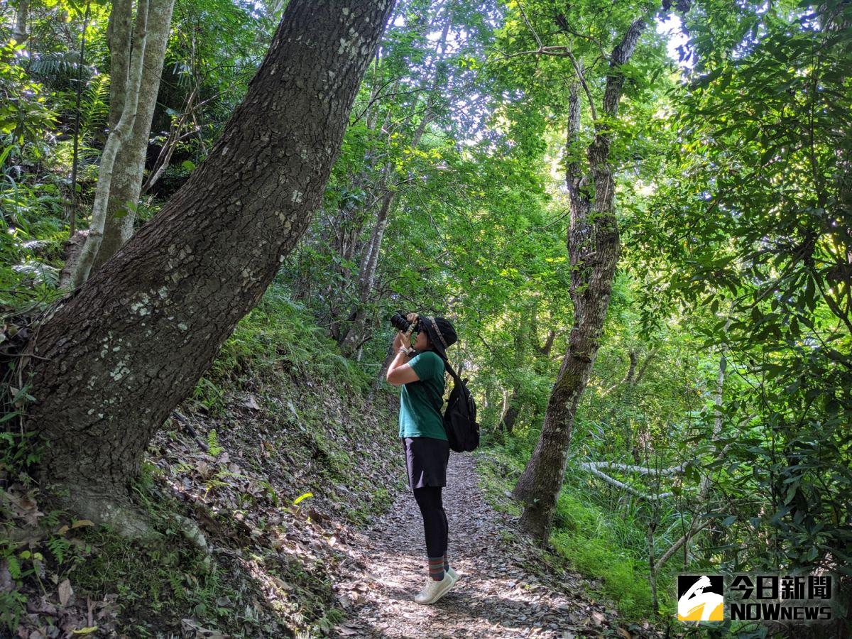 ▲位在花蓮玉里的瓦拉米步道，前段坡度平緩，相當適合親子或入門玩家踏青、健行。（圖／記者陳致宇攝）
