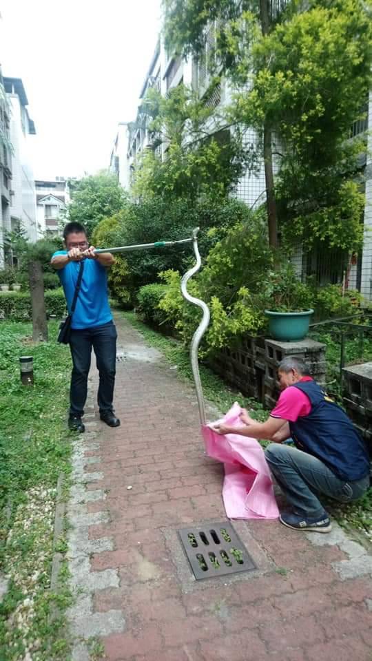 ▲通知承包業者前來捉蛇需要花費1至2個小時，根本緩不濟急，還是自已動手，比較實際。(圖／李天生提供2020.7.17)