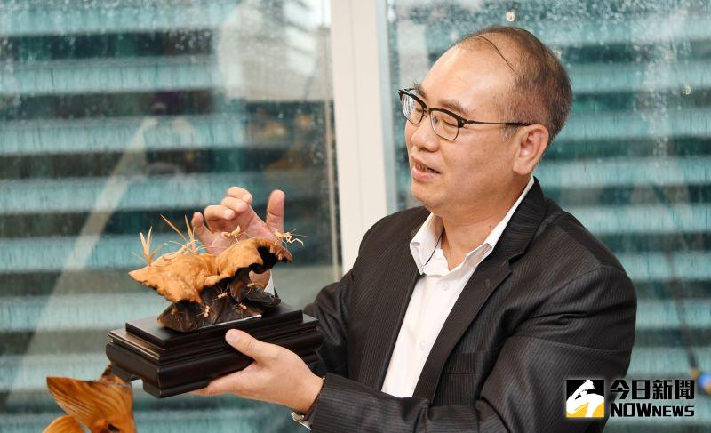 ▲台灣彩券公司總經理蔡國基的台灣檜木收藏品之一螞蟻大師張豐昌的作品。(圖/記者林調遜攝)