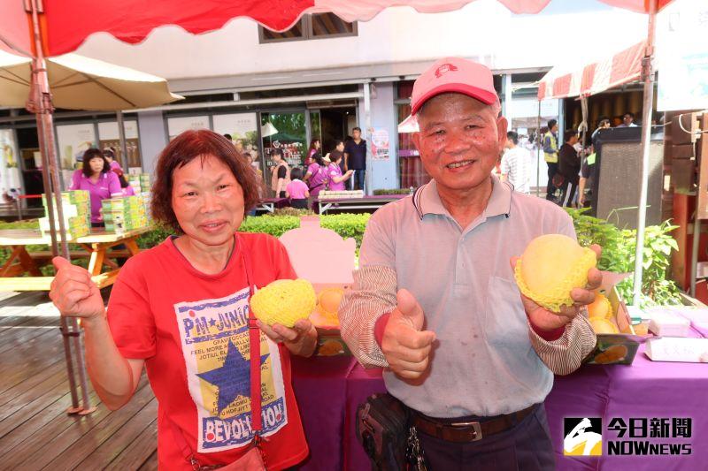 ▲埔心鄉70歲農民黃文松和66歲妻子洪瑞汝，7年前開始種金蜜芒果。（圖／記者陳雅芳攝，2020.07.18）