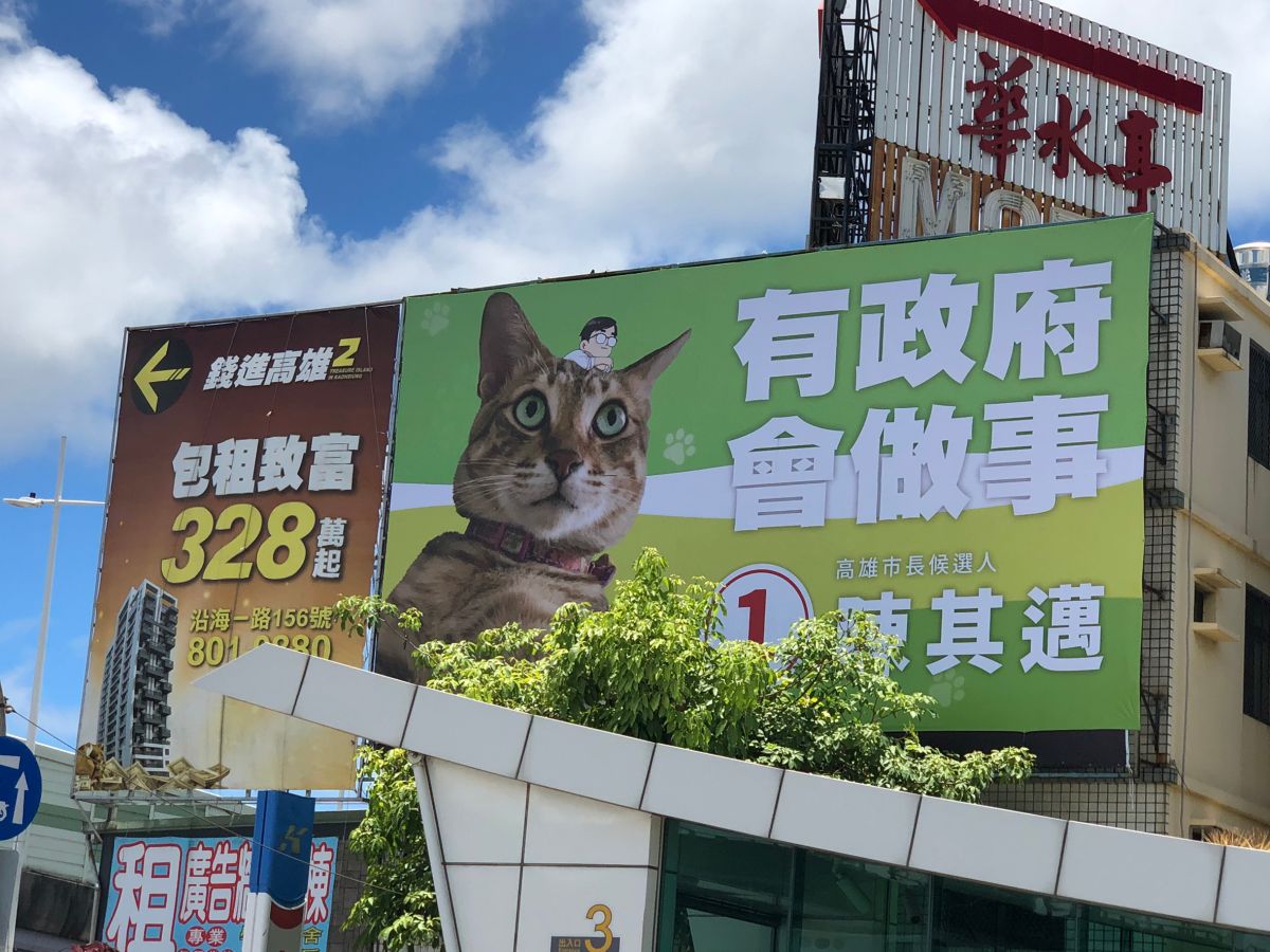 ▲陳其邁的愛貓「陳小米」變成競選看版主角。（圖／陳其邁競選總部提供）