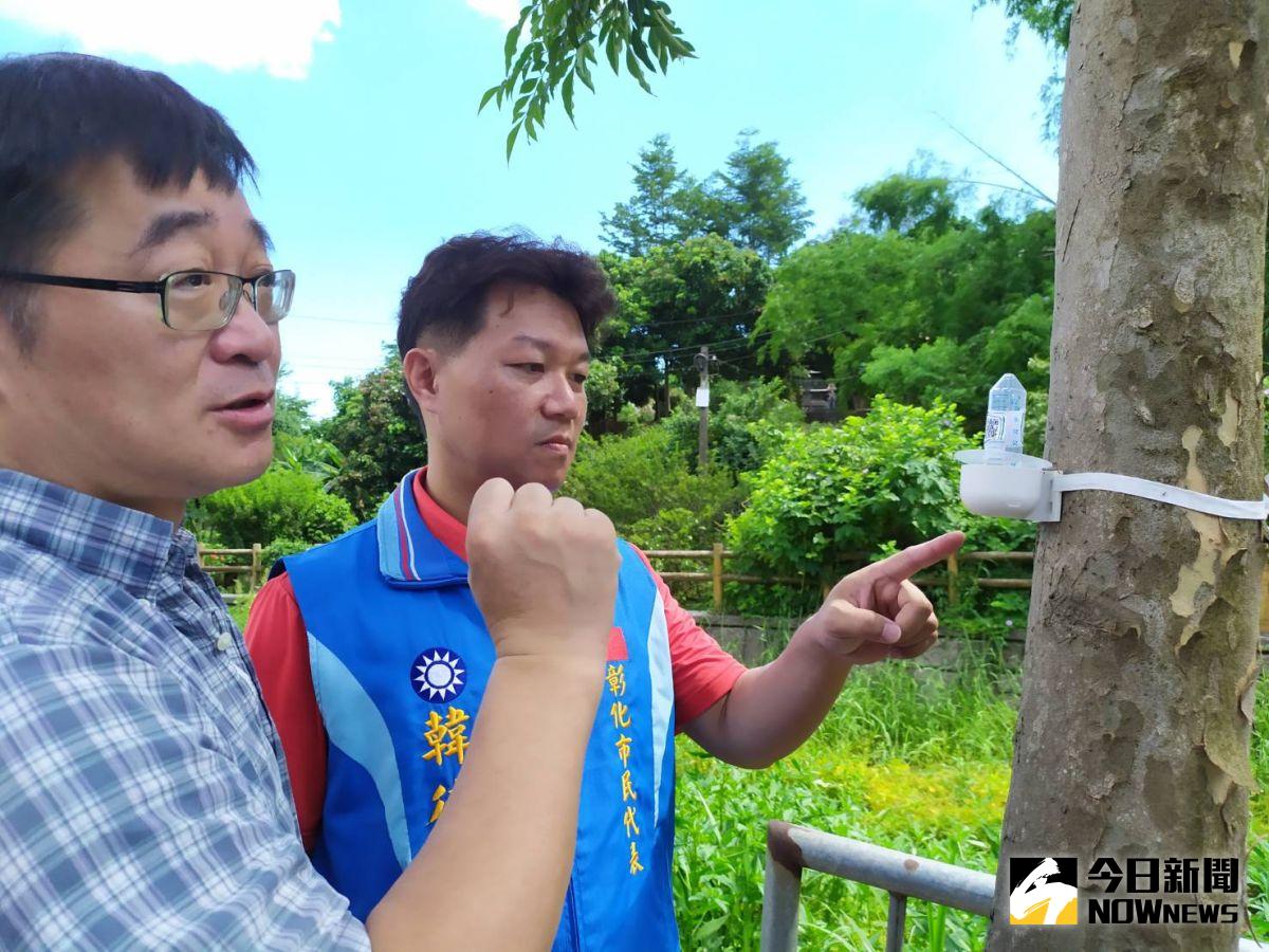 ▲彰化市民代表韓德生今（21）日邀請彰化師範大學生物系教授林宗岐實地田野調查，希望建立起彰化市疣胸琉璃蟻害生態範圍GPS。（圖／記者葉靜美攝，2020.07.21）