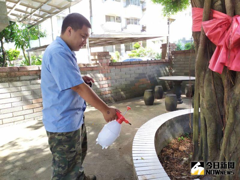 ▲疣胸琉璃蟻若數量龐大,可用皂素、硼酸混蔗糖水做防治。(圖/記者葉靜美攝,2020.07.21)