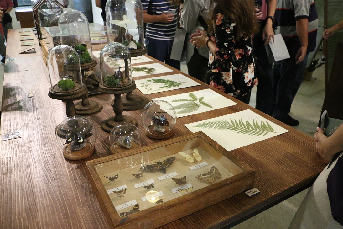 ▲新北市坪林茶業博物館暑期推出「茶山學」特展今(21)日開幕，搜羅台灣7大博物館的珍藏品，包含動植物標本、漂浮植物小宇宙等。（圖／茶葉博物館提供）