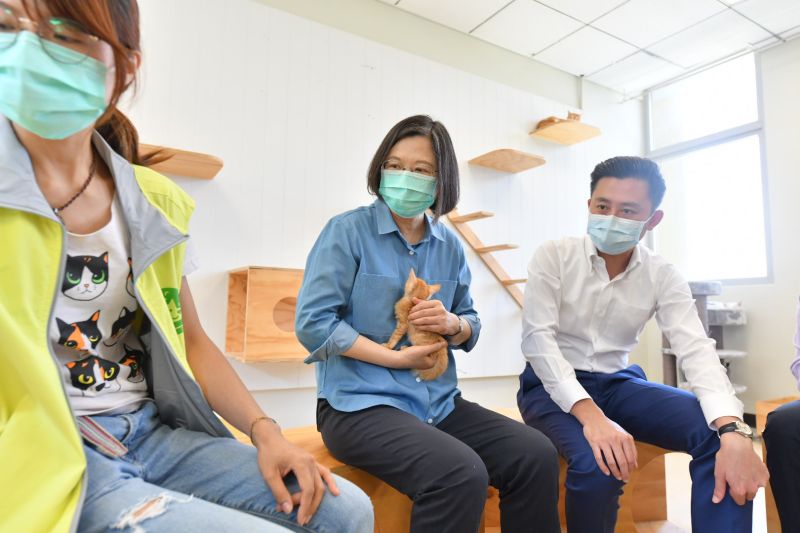 ▲總統蔡英文今(21)日下午到訪新竹市動保園區,與園區浪犬相見歡,她也進入貓舍,抱起兩個月大的幼貓。(圖/記者金祐妤攝,109.7.21)