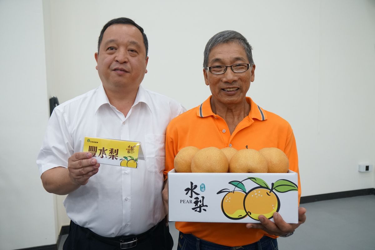 ▲新埔鎮農會今(22)日在農業推廣教育中心舉辦「109年度新埔梨果品評鑑」及記者會，評鑑結果、由農友彭文華獲得豐水梨評鑑第一名。（圖/記者金祐妤攝,109.7.22）
