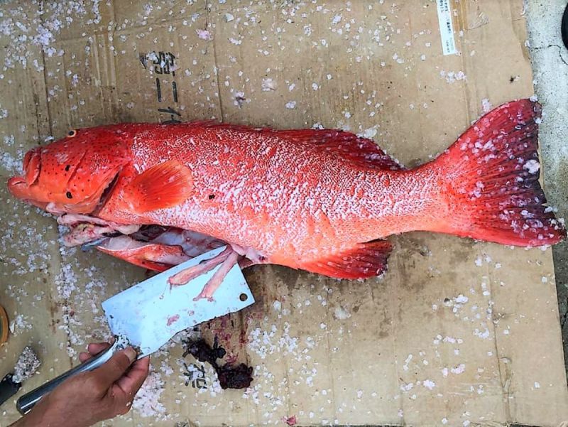 精盡魚亡 陳盡川臉書po文以圖為證學者 想太多 生活 Nownews今日新聞 精盡魚亡 陳盡川臉書po文以圖為證學者 想太多 生活 Nownews今日新聞