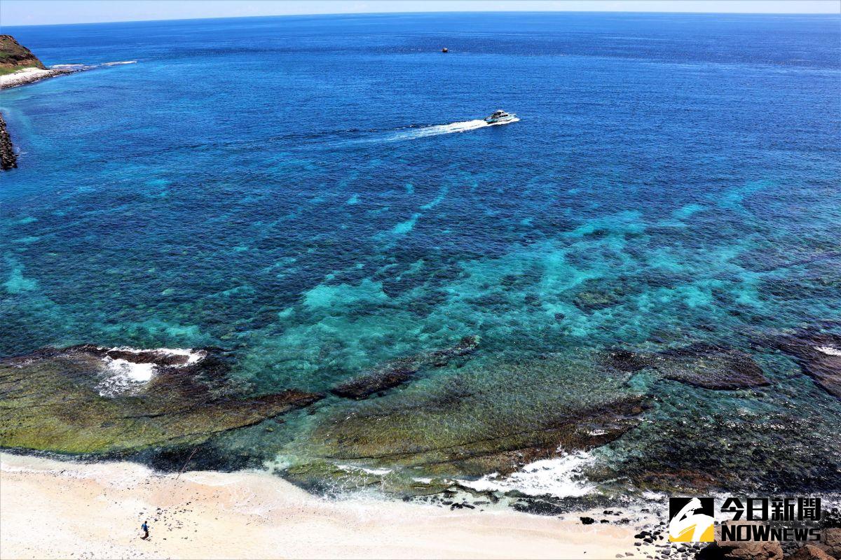 ▲澎湖海域珊瑚因兩個月以來的連續高溫現象，正面臨了一場生態浩劫，若8月沒有颱風大雨降溫，澎湖海域的珊瑚礁恐將全面失守。（圖／記者張塵攝，2020.07.23）