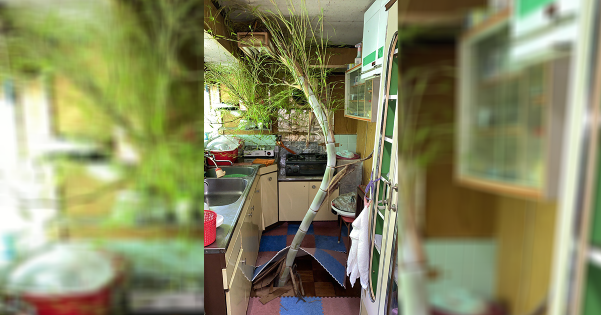 ▲（圖/擷取自推特@ma_Estate）