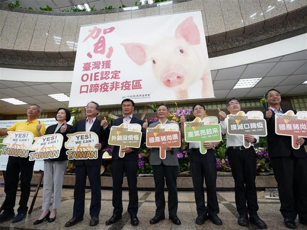 ▲農委會於6月16日宣布，台灣成為口蹄疫「不施打疫苗非疫區」，台灣與口蹄疫奮戰24年之後，終於能重返國際肉品市場。（圖／農委會提供）
