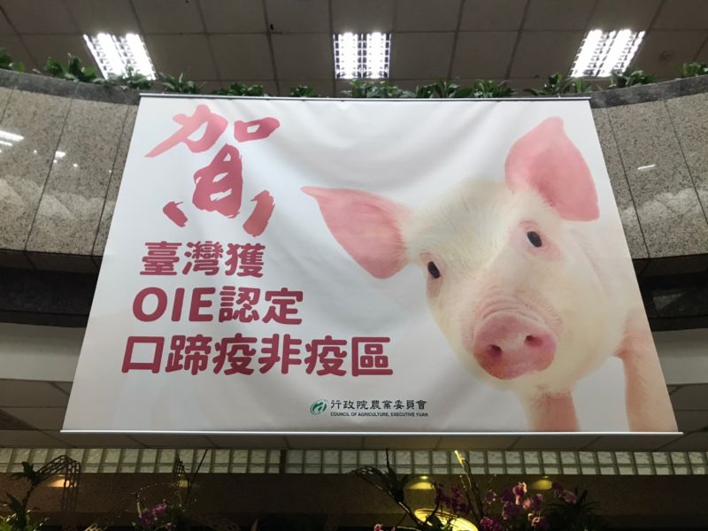 ▲農委會於6月16日宣布,台灣成為口蹄疫「不施打疫苗非疫區」,台灣與口蹄疫奮戰24年之後,終於能重返國際肉品市場。(圖/賴志昶攝)