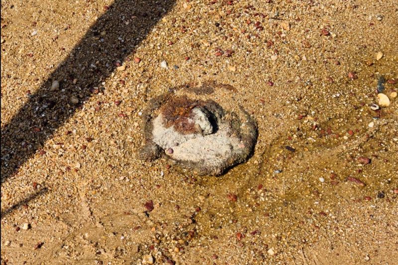 ▲未爆彈處理小組研判,2顆未爆彈應為「M6式戰防雷殘體」。(圖/金門岸巡隊提供)