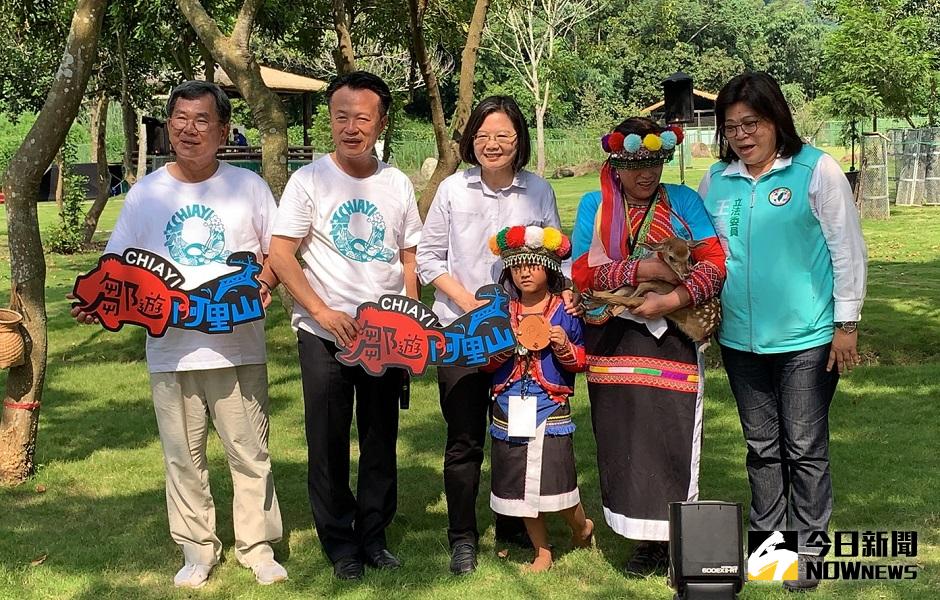 ▲蔡英文總統為新出生7天的小梅花鹿取名為「Q弟」。(圖／記者陳惲朋攝)