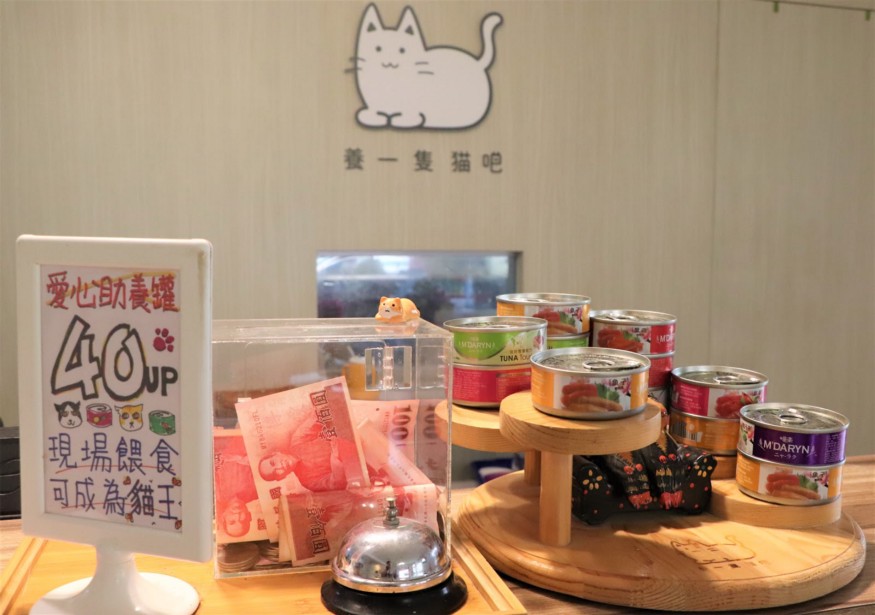 ▲現場選購不同口味的貓糧，幫助「愛心媽媽」募款。（圖／王勖叡攝）