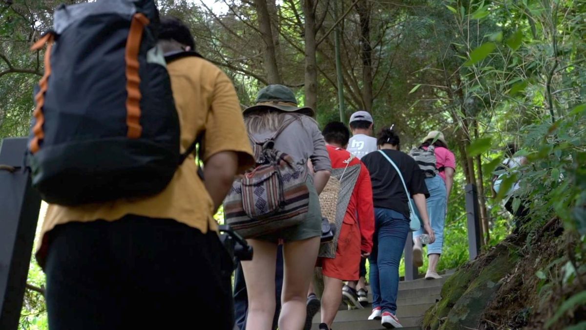 ▲中部旅行業者組成「安心行山踩線團」，捷足先「登」台中市和平區雙崎部落埋伏坪登山步道(圖／觀旅局提供2020.7.25)