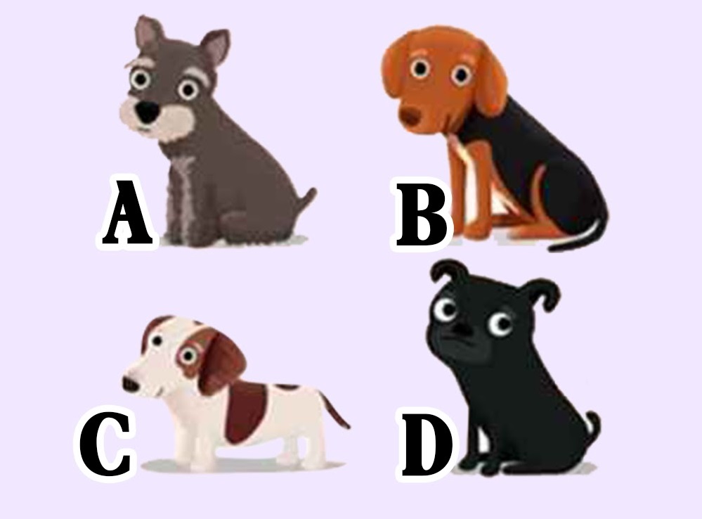 ▲直覺哪隻小狗偷吃了餅乾呢？答案將測出你的「異性緣」如何。（圖／翻攝自Look Pretty）