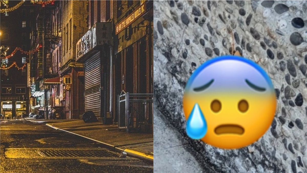 ▲網友在路邊見到一隻米白色蟑螂，一查發現竟要價 20 萬。（合成圖／左圖取自 Pixabay；右圖翻攝自 Dcard ）