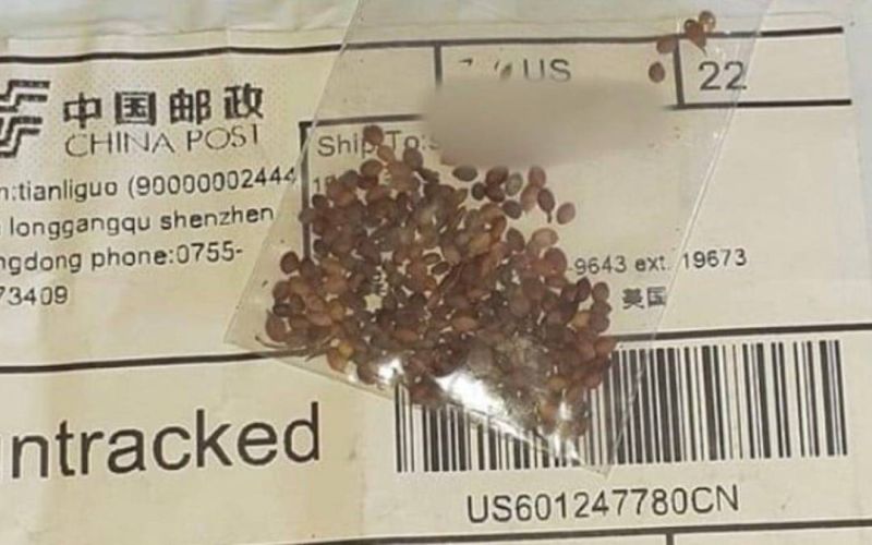 ▲美國多地收到的種子郵件包裹上,印有中國郵政等字樣,中國外交部7/28回應,已聯繫郵政,指中國郵政的面單為偽造。(圖/翻攝自影片/推特)