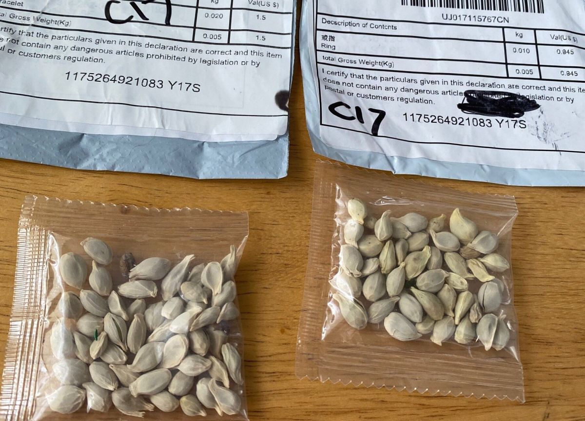 ▲美國多地近日收到疑似來自中國的不明種子包裹，現在還入侵法國。（圖／翻攝自推特）