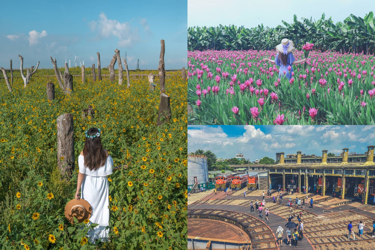 ▲快趁花季衝一波！彰化薑荷花開粉紅花毯超浪漫。(圖／授權自IG＠3more_hi4、＠sky09190、＠minwu_10)