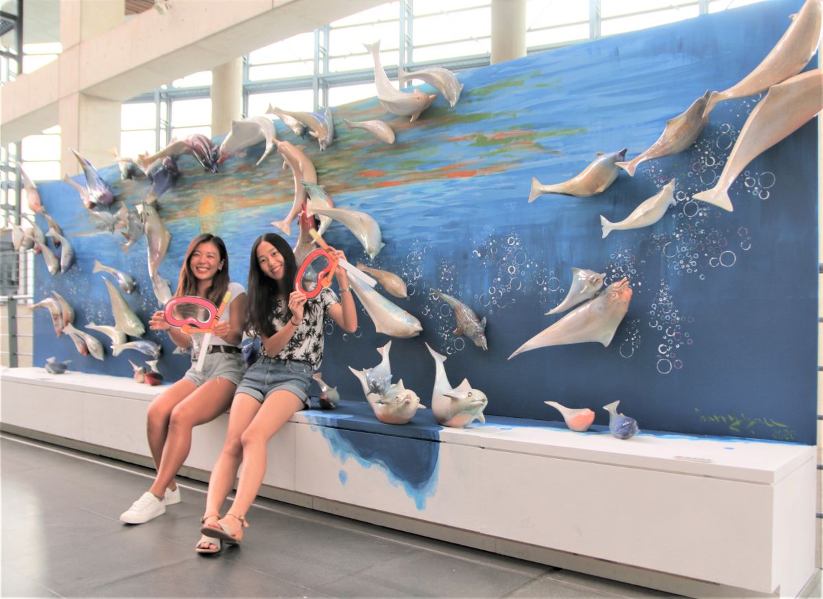 ▲游忠平以中華白海豚為主角的《愛相隨》，66隻姿態生動、喜歡跳躍的海豚連結成愛心，為藝術季最吸引民眾搶拍的創作之一。（圖／新北市鶯歌陶瓷博物館提供）