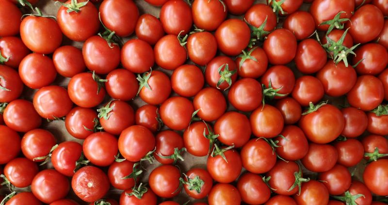 ▲小番茄怎保存更持久？日本網站曝1招輕鬆延長：「這樣保存還更乾淨」。（示意圖／Pexels）
