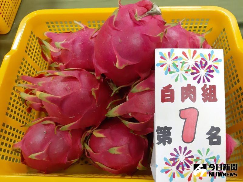 ▲109年度火龍果評鑑競賽,白肉組:第一名:陳柄叡。(圖/記者陳雅芳攝,2020.07.30)