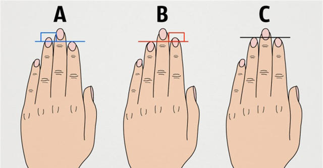  ▲以下三種「食指與無名指」的長度比例差異，你是哪一種呢？（圖／elitereaders）