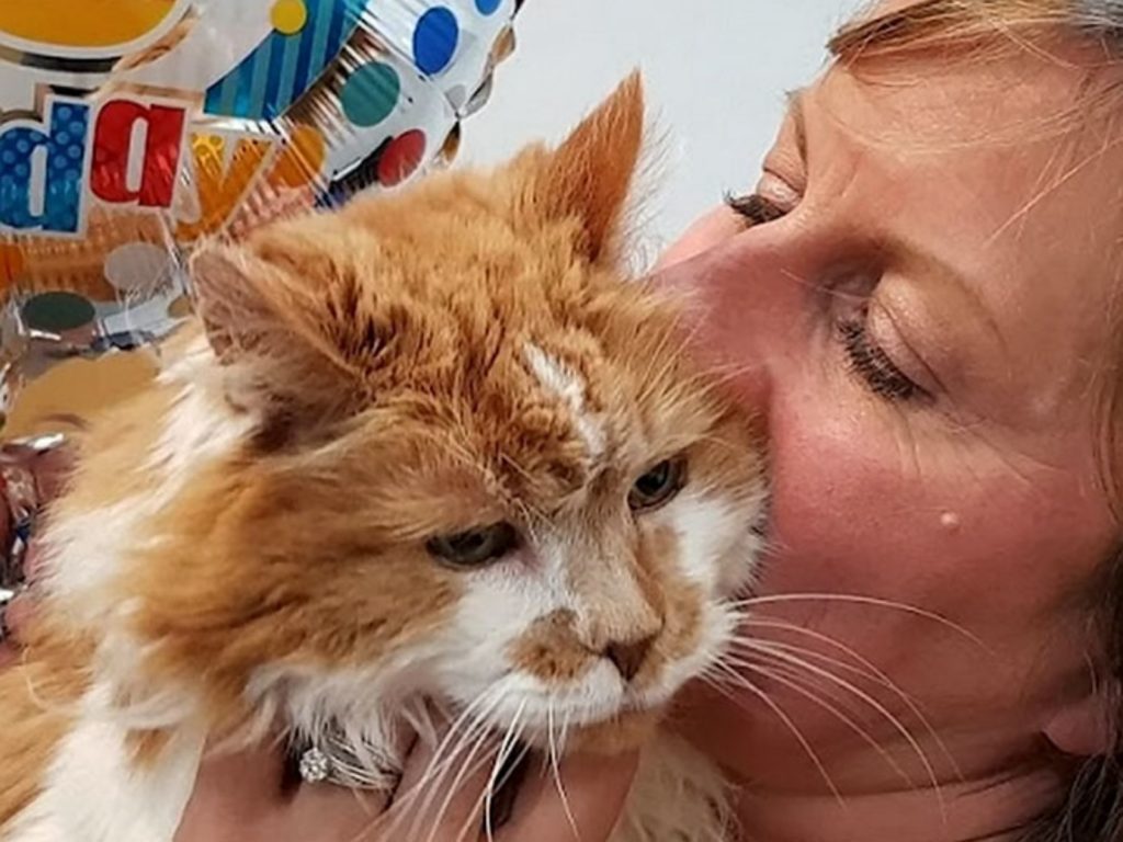 原本今年5月就滿32歲的樂博，在生日前夕離世了。（圖／SWNS） 