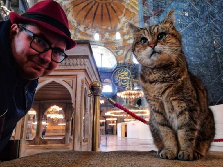 千年古蹟改清真寺眾憂「鎮館之貓」處境　當局表態：好暖心
