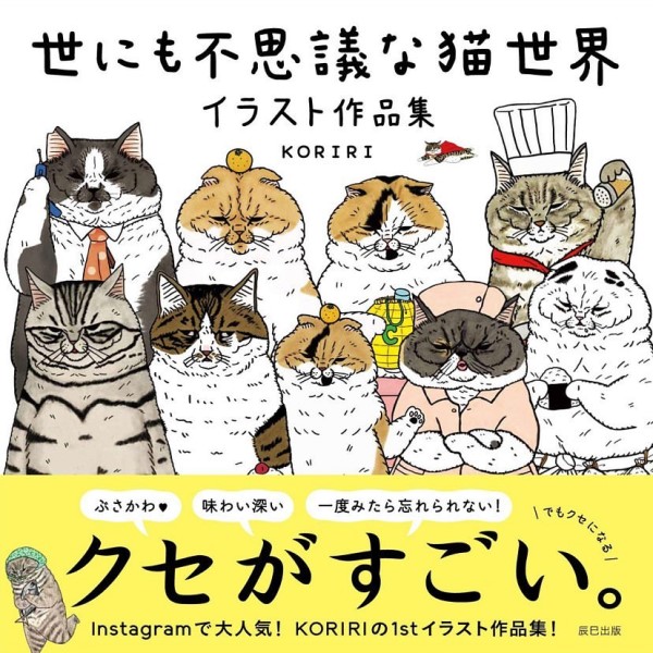 爆紅插畫《奇妙的貓咪世界》招牌「嘴邊肉」竟然真有其貓！