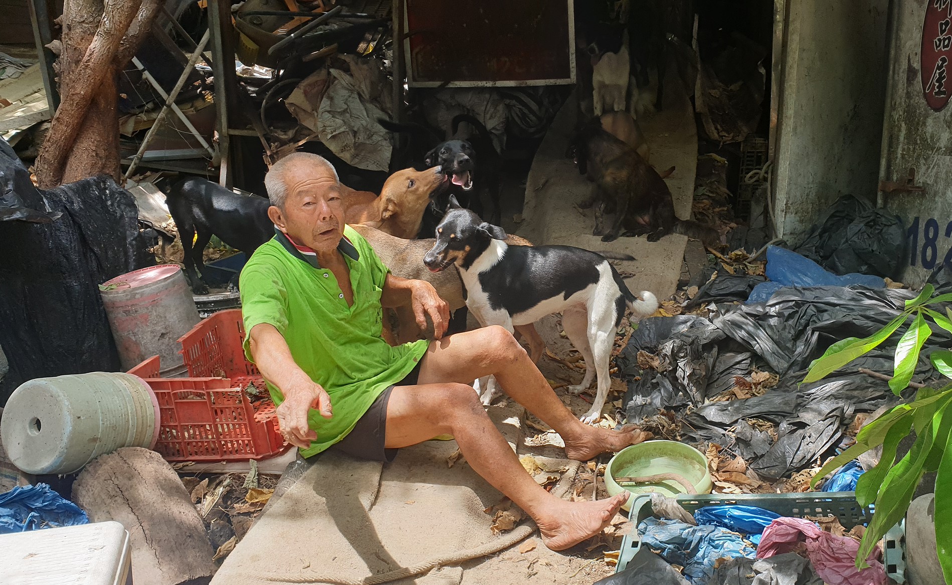 「椰子伯」乞廚餘餵20浪浪(圖/台灣動物緊急救援小組提供)