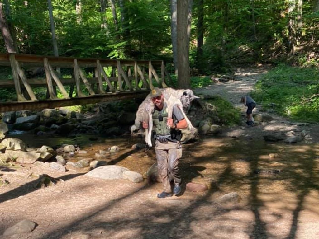跟隨主人爬山而中暑倒地的大狗，巡山員二話不說一肩扛起揹下山！（圖／FB@Lexie Daniel）
