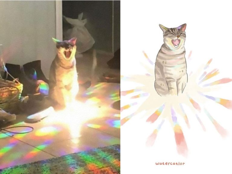 圖文畫家Amelia神手還原爆紅的貓二次元水彩版本