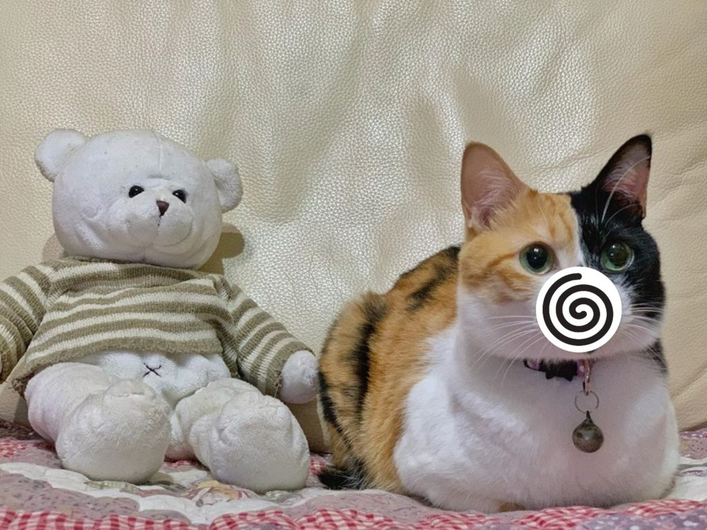 三花貓「小小」（圖／網友吳玥慧授權提供）