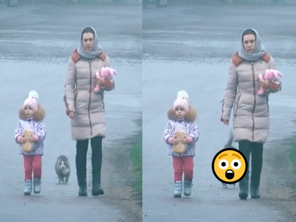 一隻貓咪跟一對母女走在馬路上（圖／翻攝自twitter@planetpng）