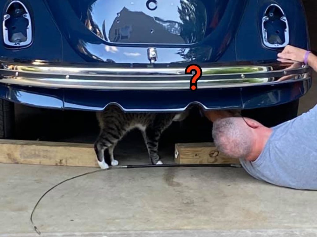 虎斑貓跑到鄰居家一起修車（圖／FB@Amy Thorpe Dahart）