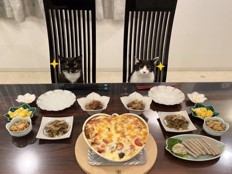 日本一貓奴吃飯時被兩隻黑白貓「行注目禮」（圖／twitter@fuji_ayako）