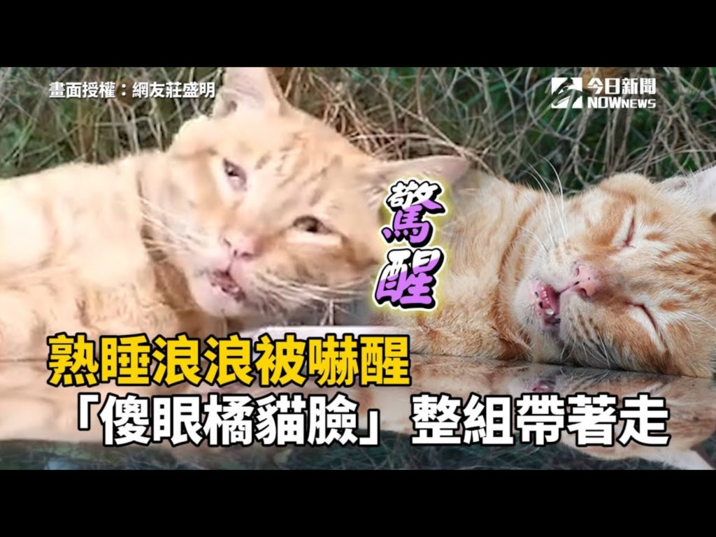 我是誰？我在哪？！（圖／網友莊盛明提供） 