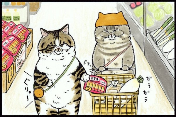 爆紅插畫《奇妙的貓咪世界》招牌「嘴邊肉」竟然真有其貓！
