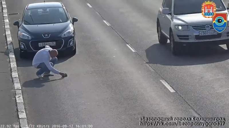 一名男子遠遠就看到小貓，也不管車流有多快，就這樣臨停在路邊救走牠。（圖／Youtube@Карен Априянц）