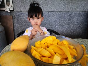 香甜又碩大的金煌芒果是台灣最受歡迎的芒果。（攝影 /曾瀞葳）